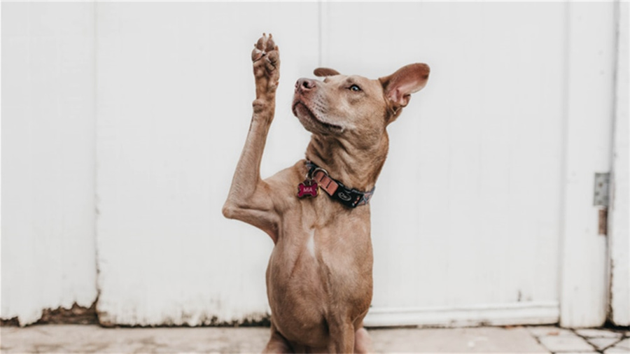 如何建网站详细步骤