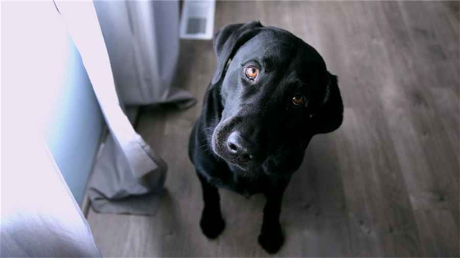 电脑电源开关线是哪两根
