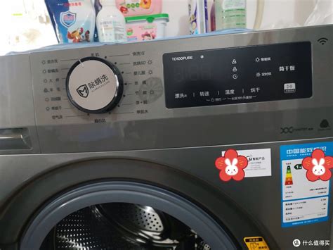 选择什么洗衣机带烘干功能更适用？适合小户型家庭的节能选购指南